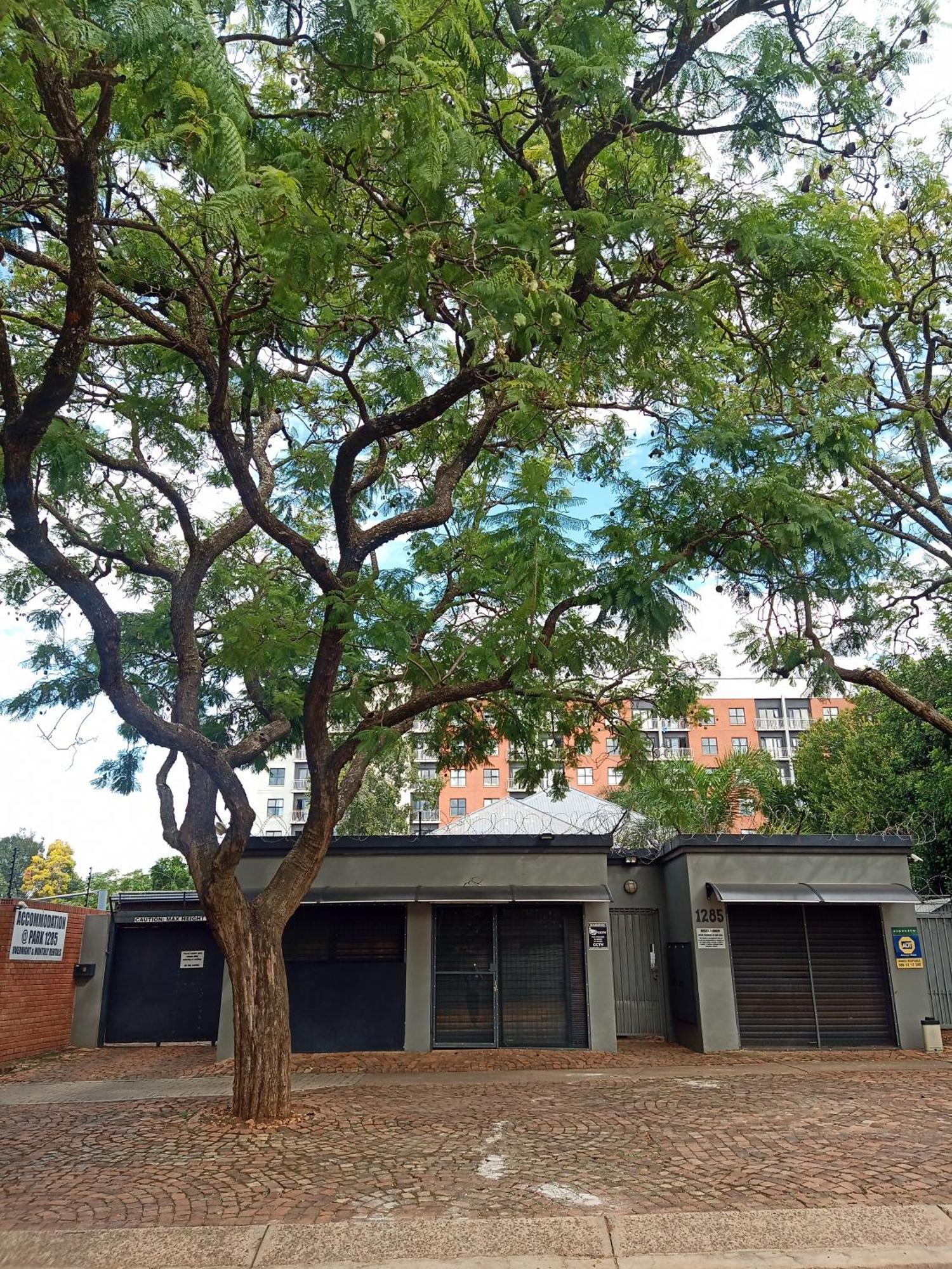 Accommodation@Park1285 Pretoria-Noord Extérieur photo