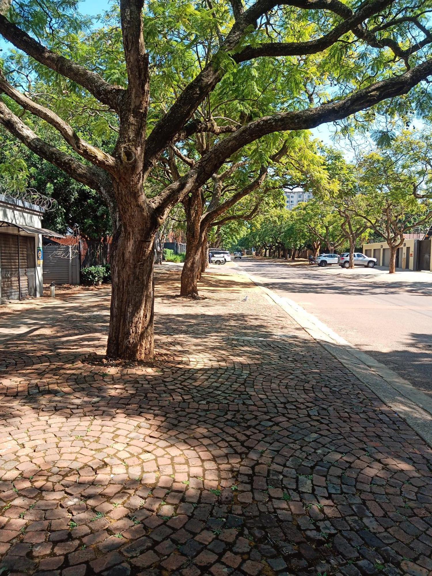 Accommodation@Park1285 Pretoria-Noord Extérieur photo
